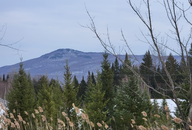 Magnifique vue- Route de Mansonville - Aucun voisin à l'arrière - McClure Construction