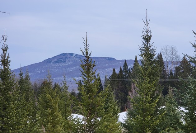 Magnifique vue- Route de Mansonville - Aucun voisin à l'arrière - McClure Construction