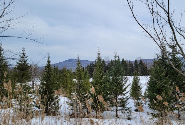 Magnifique vue- Route de Mansonville - Aucun voisin à l'arrière - McClure Construction