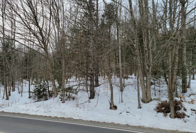 Magnifique vue- Route de Mansonville - Aucun voisin à l'arrière - McClure Construction