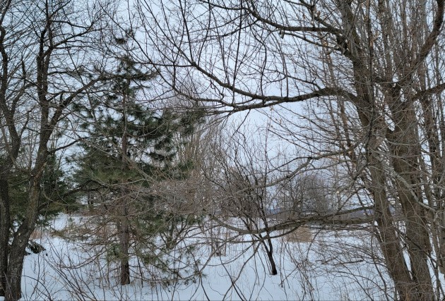 Énorme Terrain - Stanstead-Est - Semi-Boisé - Très bien situé - McClure Construction