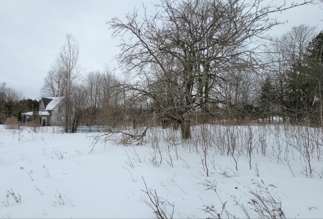 Énorme Terrain - Stanstead-Est - Semi-Boisé - Très bien situé - McClure Construction